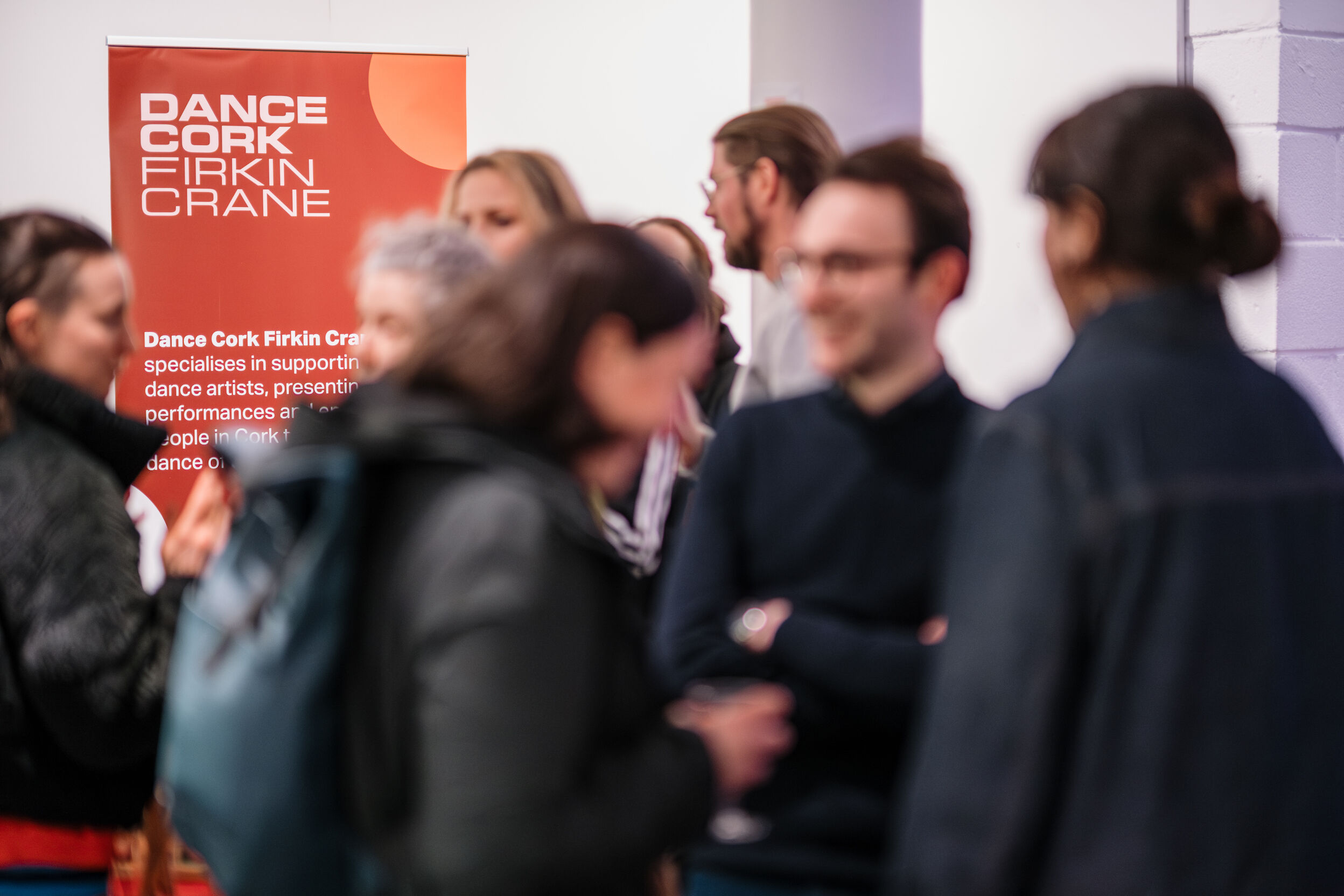 Firkin Crane Theatre, Cork: recruiting: volunteer Company Secretary